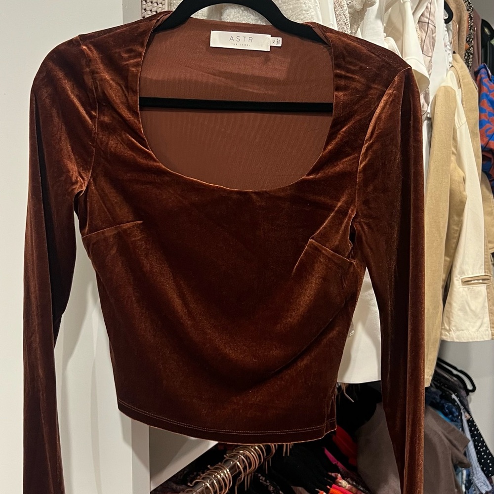 Astr The Label Long Sleeve Velvet Rounded Square Scoop Neck Top in Brown
